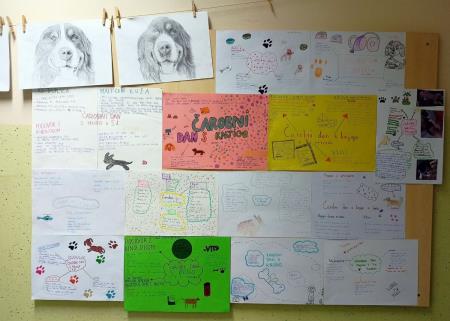 Čarobni dan s knjigo in kužki na Osnovni šoli Marije Vere (9)